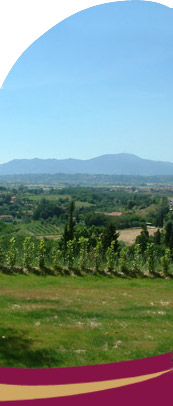 Agritourism Montalto Foto Gallery: relaxing vacations in Tuscany